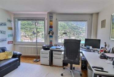 Magnifique appartement avec vue unique sur le lac Leman en viager occupé SANS RENTE