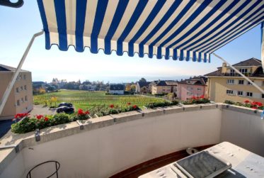 APPARTEMENT EN VIAGER OCCUPE SANS RENTE AVEC MAGNIFIQUE VUE LAC
