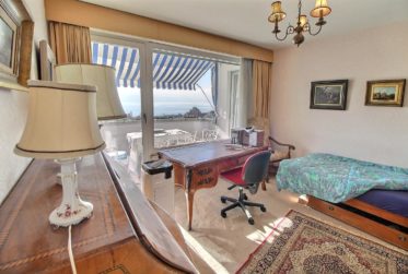 APPARTEMENT EN VIAGER OCCUPE SANS RENTE AVEC MAGNIFIQUE VUE LAC