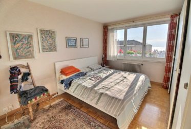 APPARTEMENT EN VIAGER OCCUPE SANS RENTE AVEC MAGNIFIQUE VUE LAC