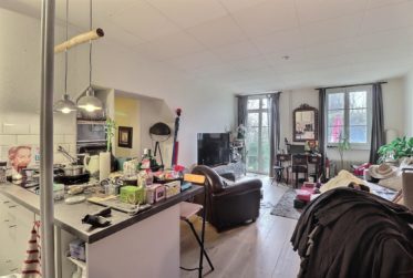 Magnifique appartement avec jardin en viager occupé sans rente