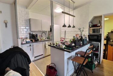 Magnifique appartement avec jardin en viager occupé sans rente