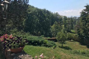 Magnifique Maison en viager occupé sans rente limité à 10 ans
