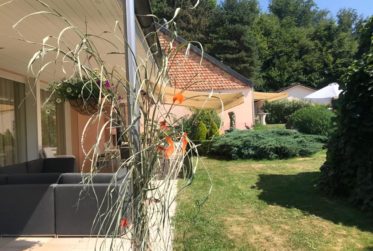Magnifique Maison en viager occupé sans rente limité à 10 ans