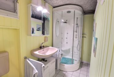 Magnifique maison individuelle avec piscine et grand terrain en viager occupé sans rente