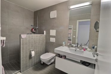 Un véritable bijoux au cœur de Nyon en viager semi-occupé sans rente