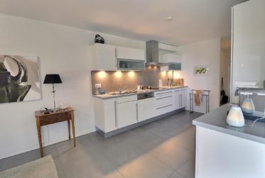 Un véritable bijoux au cœur de Nyon en viager semi-occupé sans rente! Une partie de l'appartement à disposition immédiatement !