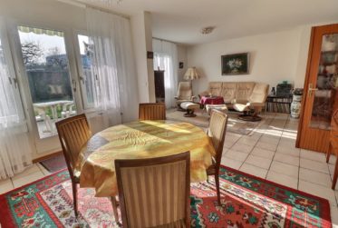 Superbe maison en viager occupé sans rente limité à 10 ans au coeur du village du Grand Saconnex
