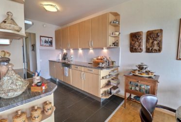 Magnifique appartement en étage élevé avec piscine en en viager occupé sans rente