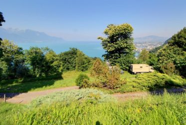 Maison d'Exception en Viager Occupé limité à 10 ans – Vue Panoramique sur le Lac Léman