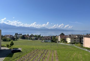 APPARTEMENT EN VIAGER OCCUPE SANS RENTE AVEC MAGNIFIQUE VUE LAC