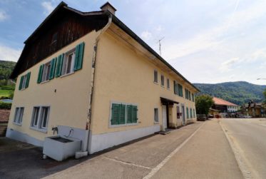 Magnifique maison de 2 logements avec piscine en viager occupé sans rente