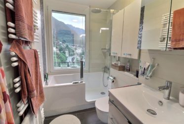 Appartement en viager occupé sans rente Vue Exceptionnelle sur le Lac à Territet (VD)