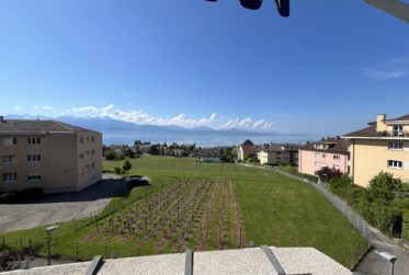 APPARTEMENT EN VIAGER OCCUPE SANS RENTE AVEC MAGNIFIQUE VUE LAC