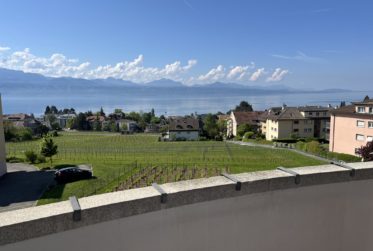 APPARTEMENT EN VIAGER OCCUPE SANS RENTE AVEC MAGNIFIQUE VUE LAC