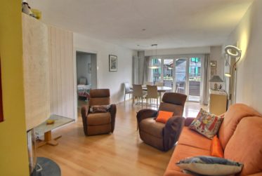 Magnifique appartement en viager occupé sans rente limité à 5 ans