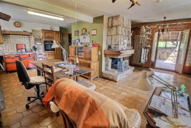 Magnifique et spacieuse maison en viager occupé sans rente