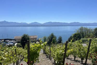 Magnifique appartement en viager occupé sans rente. Vue Lac et Port privé.