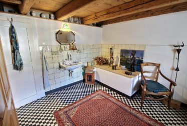 UNIQUE: Magnifique maison en viager semi-occupé sans rente