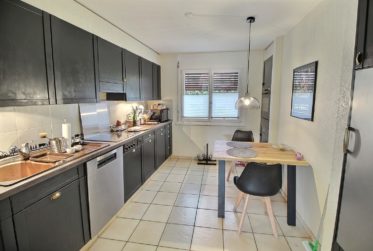 Ravissante maison familiale en viager occupé sans rente