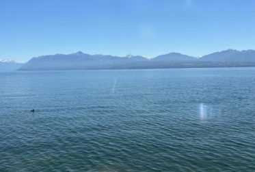 Magnifique appartement en viager occupé sans rente. Vue Lac et Port privé.