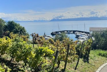 Magnifique appartement en viager occupé sans rente. Vue Lac et Port privé.