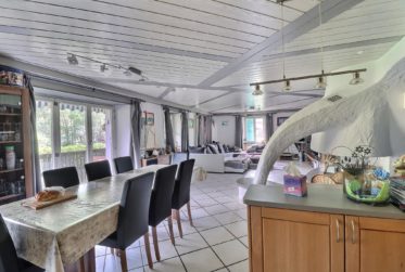Grande maison de 2 logements avec piscine en viager occupé sans rente