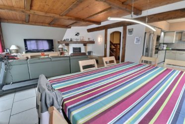 Grande maison de 2 logements avec piscine en viager occupé sans rente