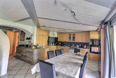 Grande maison de 2 logements avec piscine en viager occupé sans rente