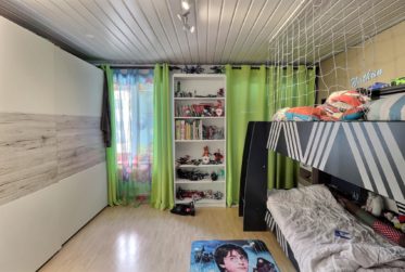 Grande maison de 2 logements avec piscine en viager occupé sans rente