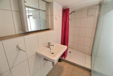 Grande maison en viager semi-occupé sans rente avec grand potentiel