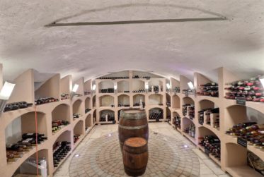 Grande maison de 2 logements avec piscine en viager occupé sans rente