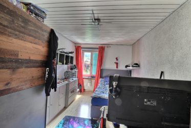 Grande maison de 2 logements avec piscine en viager occupé sans rente