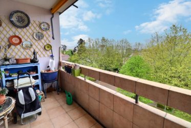 Incroyable Attique traversant en viager occupé sans rente