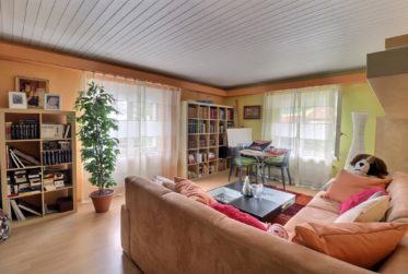 Grande maison de 2 logements avec piscine en viager occupé sans rente