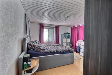 Grande maison de 2 logements avec piscine en viager occupé sans rente