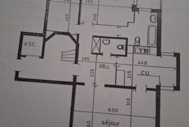 Superbe Appartement traversant en viager occupé sans rente