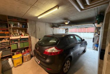 Appartement en viager occupé sans rente – Spacieux 4.5 pièces avec terrasse, jardin, garage et cave – Fully (VS)