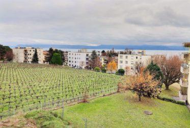 Charmant appartement en viager occupé sans rente, idéalement situé à Mont-sur-Rolle, au cœur de l’un des villages les plus prisés de La Côte.