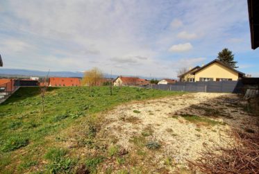 Grande maison en viager semi-occupé sans rente avec grand potentiel