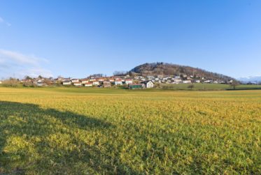 Très grande maison en viager occupé sans rente