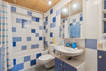 Très grande maison en viager occupé sans rente