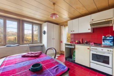 Très grande maison en viager occupé sans rente