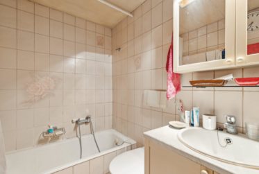 Très grande maison en viager occupé sans rente