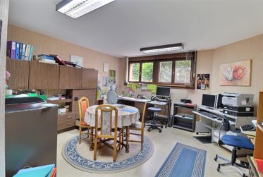 Très grande maison familiale en viager occupé sans rente