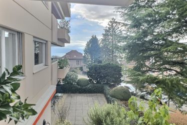 Magnifique appartement avec vue Lac en viager occupé sans rente