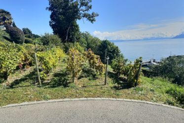 BIEN EXCEPTIONNEL!! Grand appartement en viager occupé sans rente. Vue Lac et Port privé.