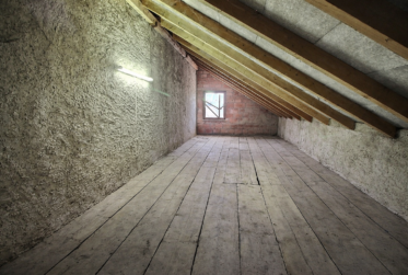 Jolie maison en viager occupé sans rente