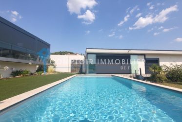 FRANCE: Magnifique villa contemporaine en viager occupé avec rente.