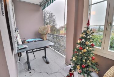 Superbe appartement en viager occupé sans rente avec piscine et vue Lac